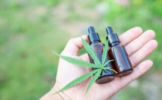 Stress, douleurs, récupération : comment le CBD est devenu un allié du quotidien (et lequel privilégier)